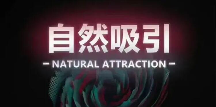 瑞恩老师:自然吸引10节高级课程