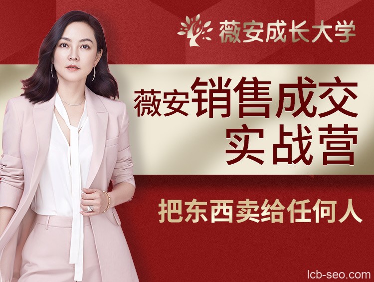 薇安28天销售高手训练营