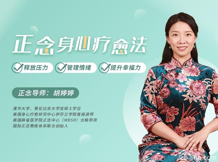 正念身心疗愈法:释放压力、管理情绪,提升幸福力