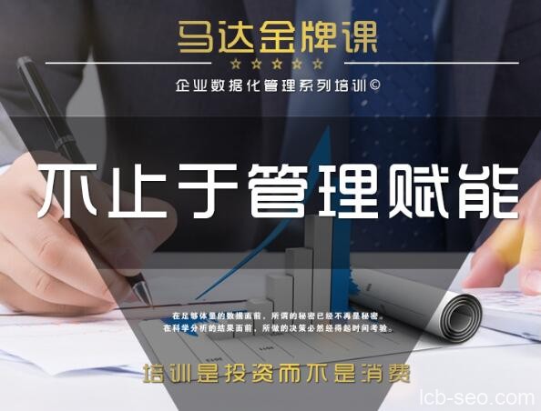 企业管理数据分析全体系落地培训