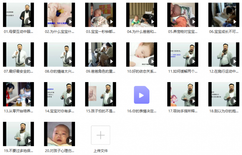 施琪嘉母婴互动20讲视频课 施琪嘉母婴互动20讲视频课