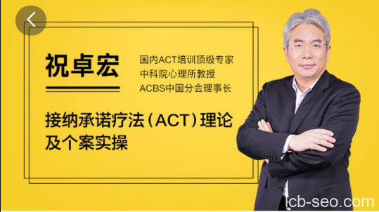 祝卓宏:接纳承诺疗法（ACT）理论及个案操作