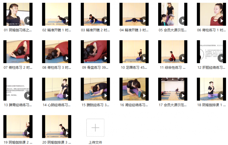 景瑶阴瑜伽初级精进教培20课 景瑶阴瑜伽初级精进教培20课