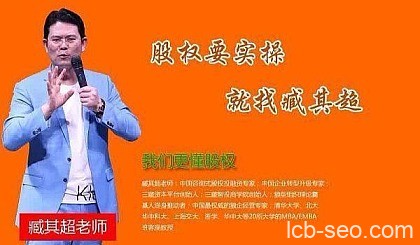 臧其超股权激励与机制设计