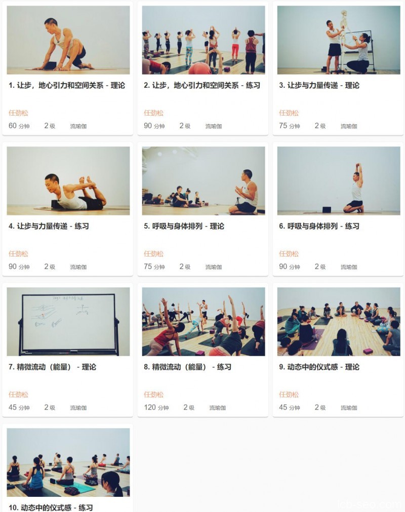任劲松-精微能量流瑜伽进阶系列课