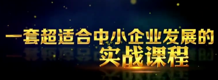 苏引华《2020商业思维》现场讲座全程高清完整视频(97集)资源简介: