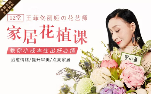12堂家居花艺绿植课，教你小成本住出好心情