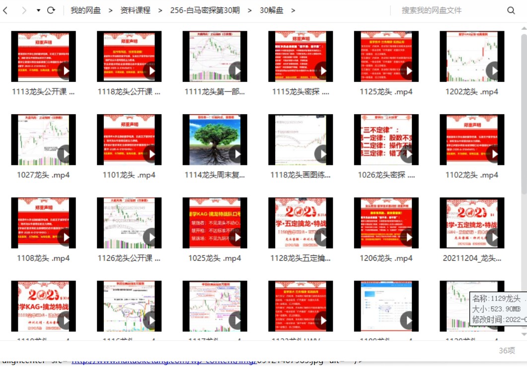 龙头密探白马密探仲展第30期