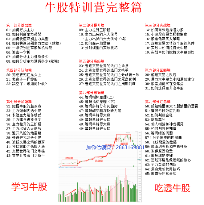 无为牛股训练营课程66集全