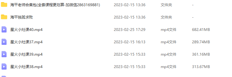 无为海平星火小灶课-海平星火操盘术