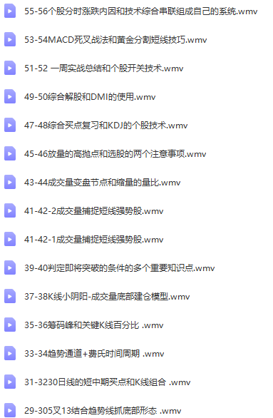 【凌云】精确操盘内部全套视频56集