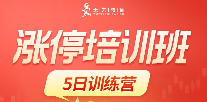 无为李栋涨停培训班课程（带指标公式）新课
