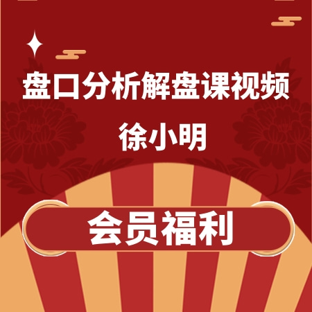 徐小明2024年3月盘口分析解盘课视频