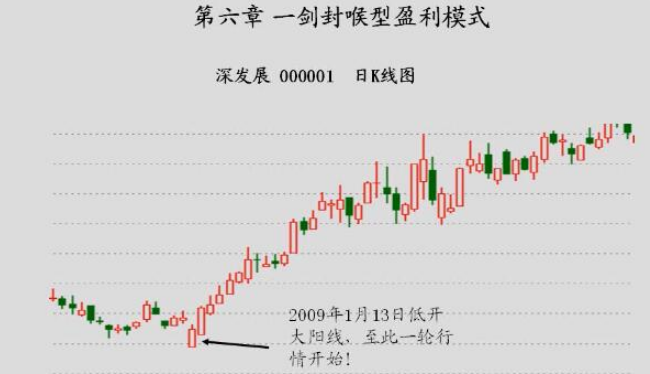 鲁召辉-职业操盘手培训课程