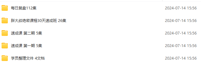 公众号游资胖大叔绝密课程30天速成班课程-每日复盘视频