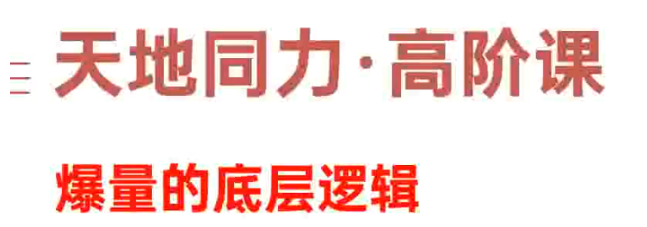 天地同力操盘体系2024年1109基础课+高阶课