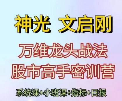 神光文启刚 万维龙头战法股市高手密训营系统课+小班课+日报+指标
