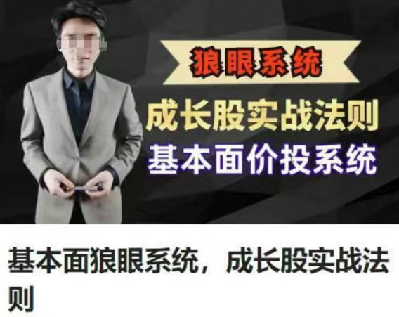 股道九杨基本面狼眼系统,成长股实战法则,基本面价投系统课程