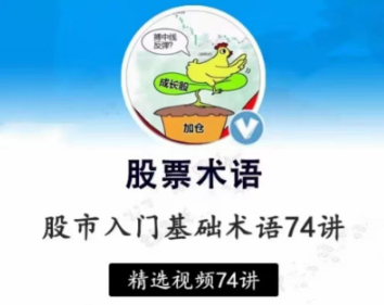 【张一山】炒股基础入门股市基础术语精讲74集