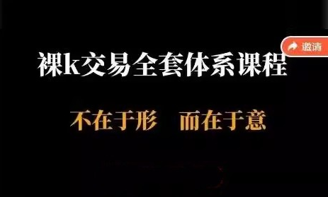 裸K交易(半山猎人全套体系)视频课