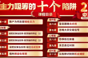 刘琦老师寻龙私密圈主力吸筹的十个陷阱系统课+指标