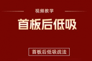 【首板后低吸战法】视频视频+指标