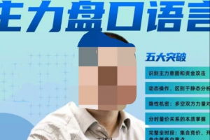 周志伟主力盘口语言（全实盘、全动态、全主力密码）