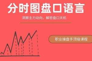 一飞金融《分时图盘口语言－－绝密主力操盘课程》