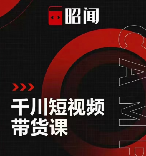 昭闻 千川短视频带货课,让你更懂千川