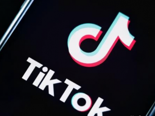 龟课·TikTok变现实战训练营线上第4期,0基础教你搬运视频,获得热门赚美金