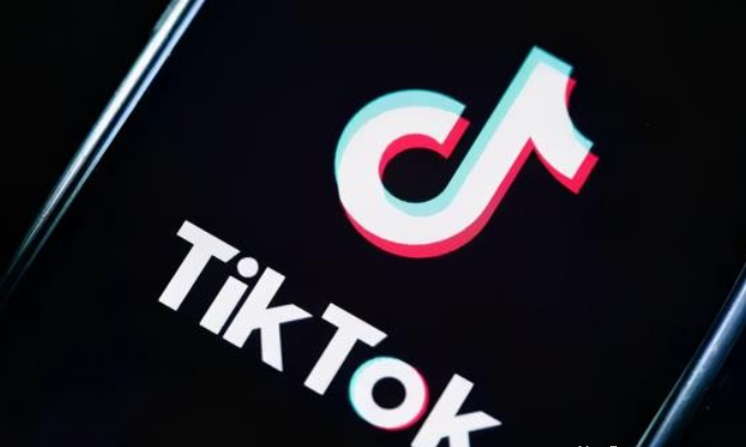 龟课·TikTok变现实战训练营线上第4期,0基础教你搬运视频,获得热门赚美金