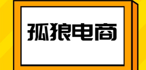 孤狼电商·店群+深度蓝海全套教程