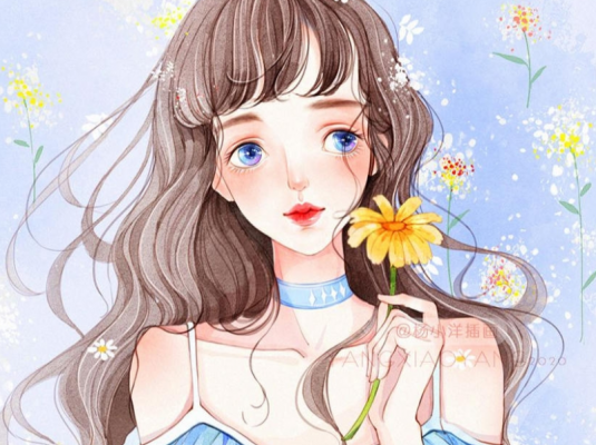 杨小洋板绘插画课【老课画质高清有笔刷】