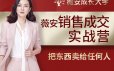 薇安28天销售高手训练营