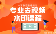 专业去视频水印教程 静态水印、动态水印、文字水印、图片水印一套教程通通搞定