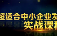苏引华《2020商业思维》现场讲座全程高清完整视频（97集）资源简介：