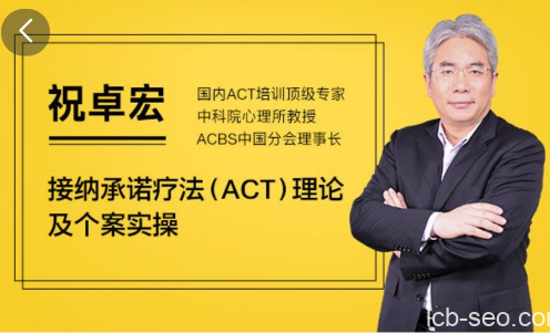 祝卓宏:接纳承诺疗法（ACT）理论及个案操作