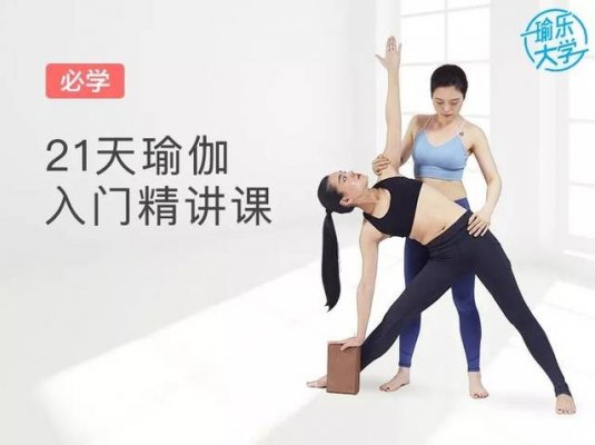 每日瑜伽 21天瑜伽入门精讲课 助你开始瑜伽之旅!