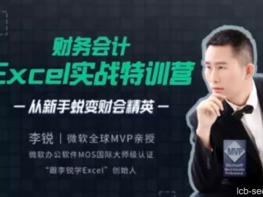 李锐财务会计Excel实战特训营