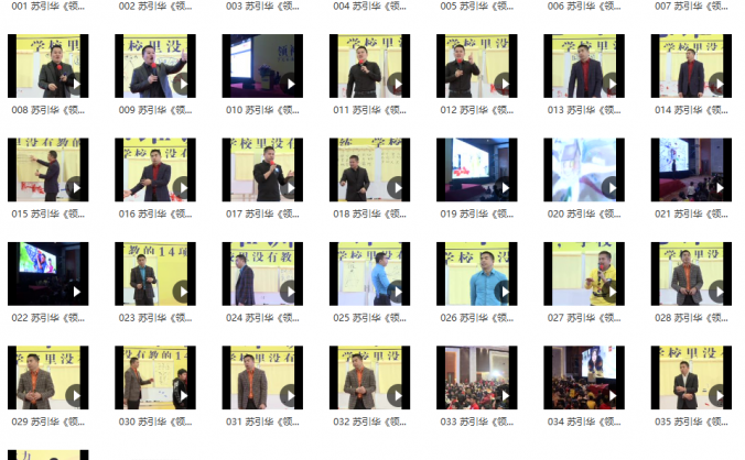 苏引华《2019领袖思维》(36集)