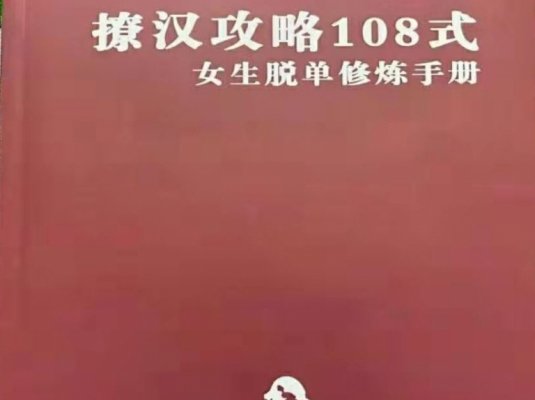 撩汉全攻略108式电子书