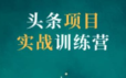 祖小来头条项目训练营第二期
