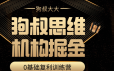 狗叔思维·机构掘金训练营