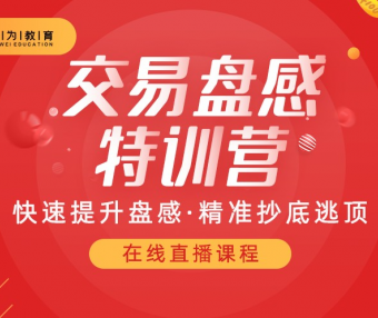 无为盘感交易训练营课程第258期（2023）