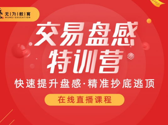 无为盘感交易训练营课程第258期(2023)
