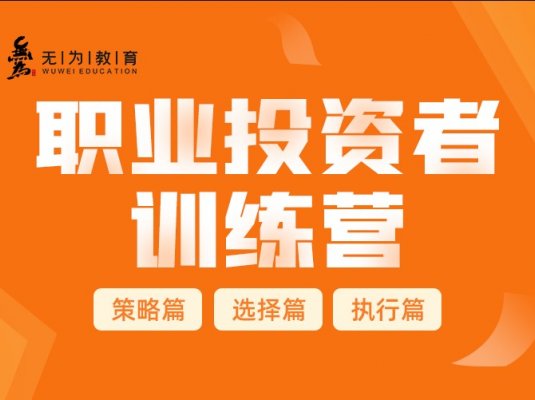 职业投资者训练营(29课2020年)-无为股票课程
