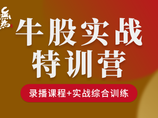 无为牛股训练营课程66集全