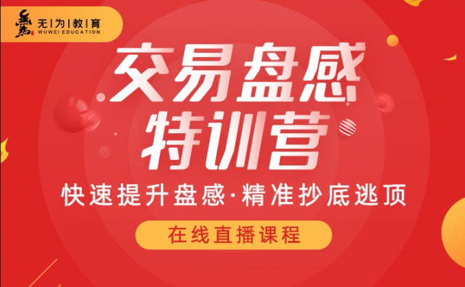 无为交易盘感特训营第253期