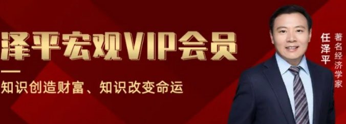 任泽平《泽平宏观VP会员》视频+音频+文档