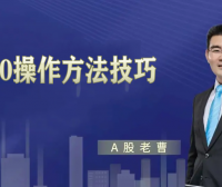 曹茂桂股市秘笈日内T+0操作方法技巧